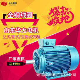 山东华力电机一级能效 YE3/HM3/YE5YE4系列三相异步电动机55/75kw