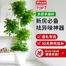 �Ҹ����������Դ�����ֲ�칫���ں���ֲ�����׮ƽ�����ļ�����ȩ