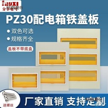 wPZ30F12/15/18/20/30/4·p̫