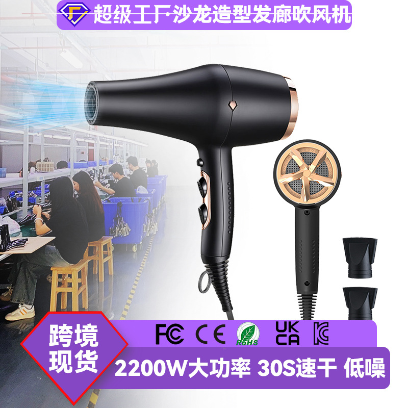 Secador de Pelo de Alta Potencia para Peluquería y Uso Doméstico, Venta al por Mayor de Fábrica, Secador de Pelo de Viento Fuerte