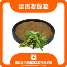 藿香提取物 藿香粉 浸膏液 瑞尔丽药食同源食品原料广藿香现货