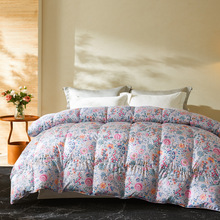 高端五星酒店家用羽绒被加厚纯棉被子冬季厚款被芯冬被95白鸭绒被