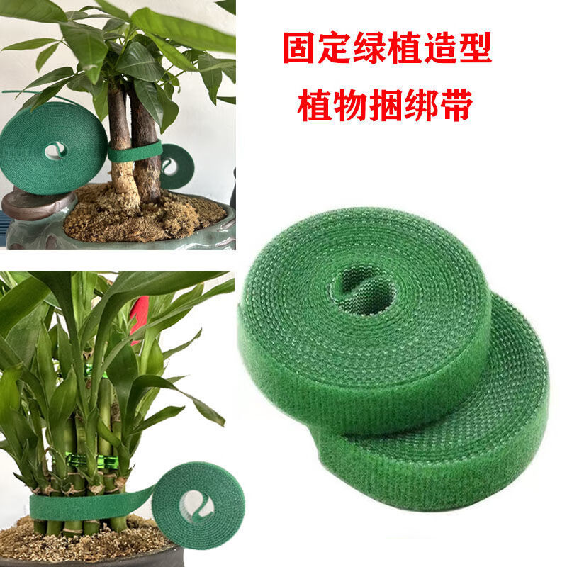1米3米5米绿色植物魔术贴扎带 爬藤树枝树木捆绑固定魔术贴理线带