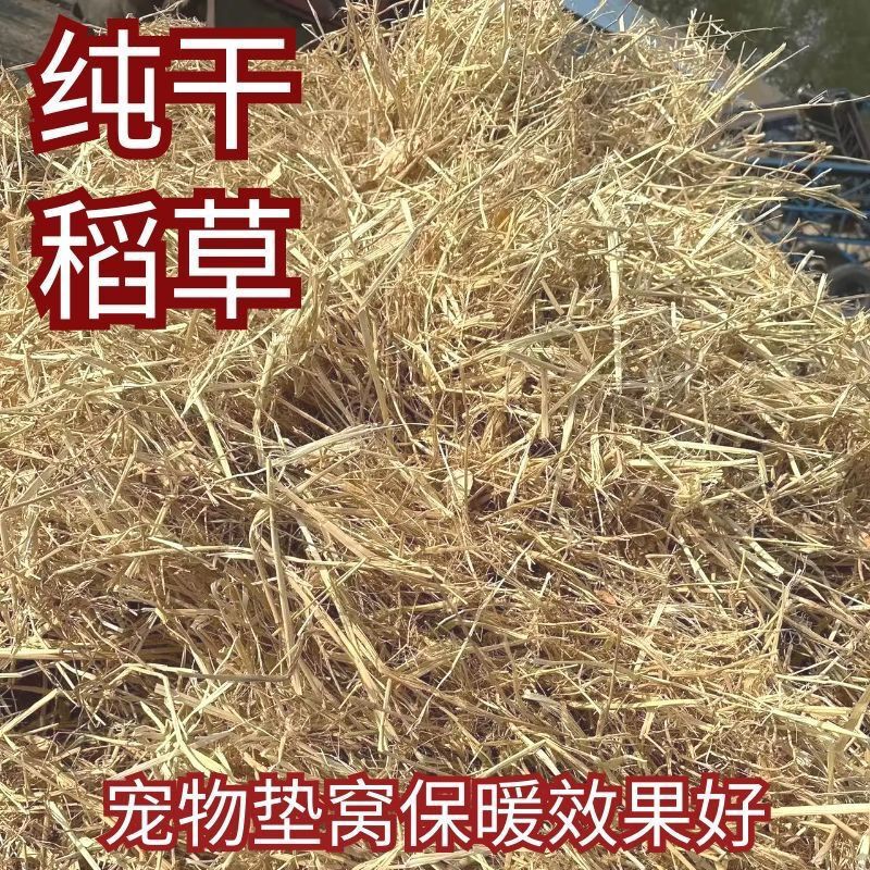 New Straw Natural Pet Chicken Nest Grass Dry Straw Cattle Sheep Pig Feed Dog Duck Nest Grass Props Grain Grass Straw