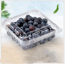 ���ɰ�125���{ݮ���bС��һ����PET͸��������1000�����չʾ��