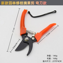 �羳���N702���K�๦���F�z�FƤ�� �@ˇ��ˇ�@�֘�֦���P���֦��