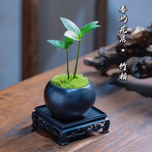 ������\���d�k���ҾGֲ�����҃��k�������ļ�ꖹ��Ї��LС����