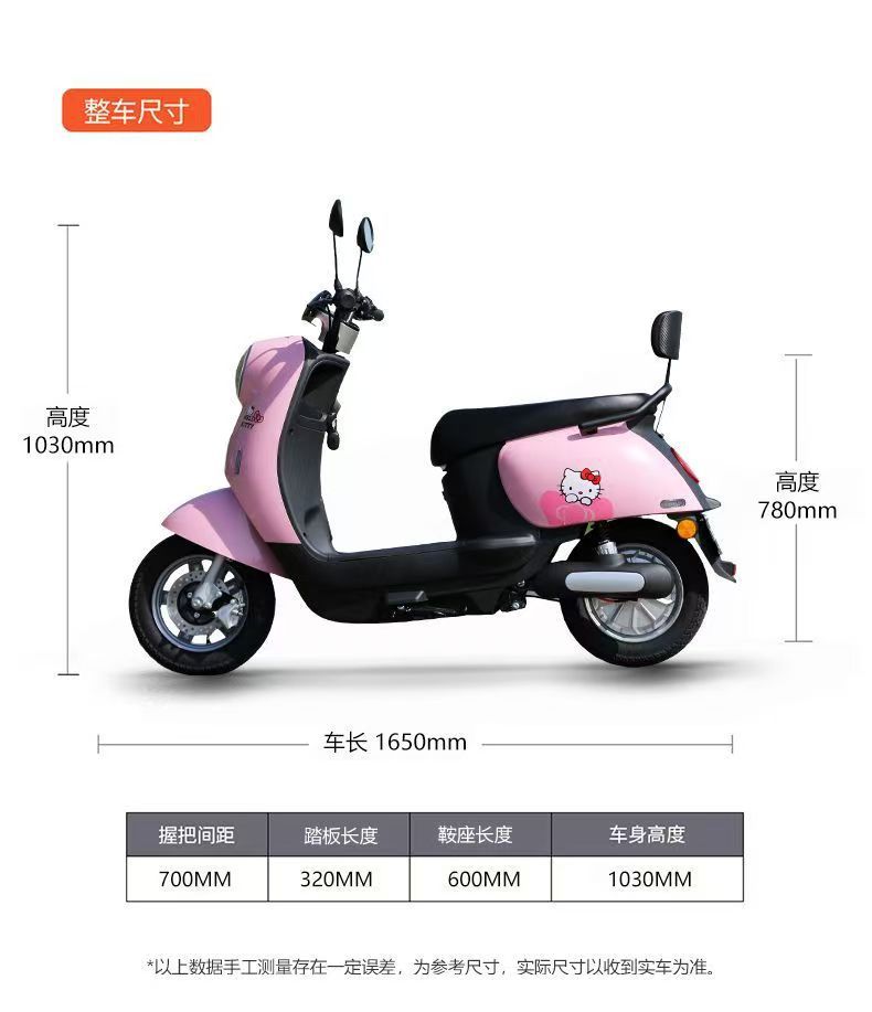 Eyelash Turtle Electric Motorcycle 60V Two-Wheel Electric Bicycle Available for Cross-Border Supply to Southeast Asia E-Bike Factory