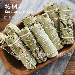 �ȼ�������~Eucalyptusֲ����޹���ȷů��[�ŔU��Դ�^���S�羳