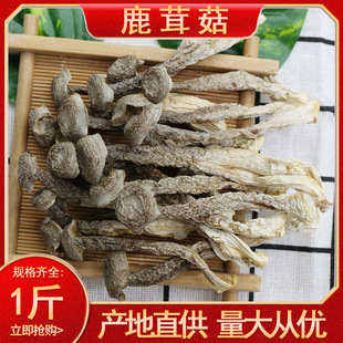 ����ɢ�b���l�и��ؼ�¹�׹���؛�����خa¹�׾��㹽�Ҝ�ʳ��500g