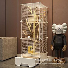 �۴��������̖����øC�e����؈���\����\�����ӻ�֦����A�ﶬ