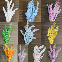 �S��ֱ�N������l�������ȼ����~ ���~ͩ�X�� ����~�����ȼ���