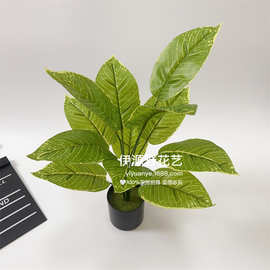 仿真植物叶子 绿植龟背叶金边叶家居客厅装饰植物墙配材 厂家批发