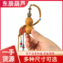 �S�����l�~���B����耳׿ے���ɴ��_������J���а����B�����J