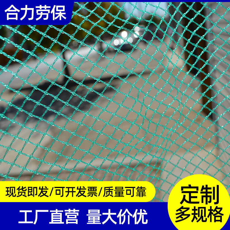 水产养殖网 海参鲍鱼塑料围网养鸡养鸭防虫平网 水库鱼虾养殖网