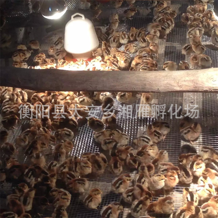 27a433381f30e9244bef4e9e4b086e