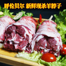 达生源呼伦贝尔新鲜冷冻生羊脖子带骨分割羊肉内蒙古羊脖子肉厂家