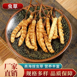 其他药食同源;其他滋补;参类滋补品