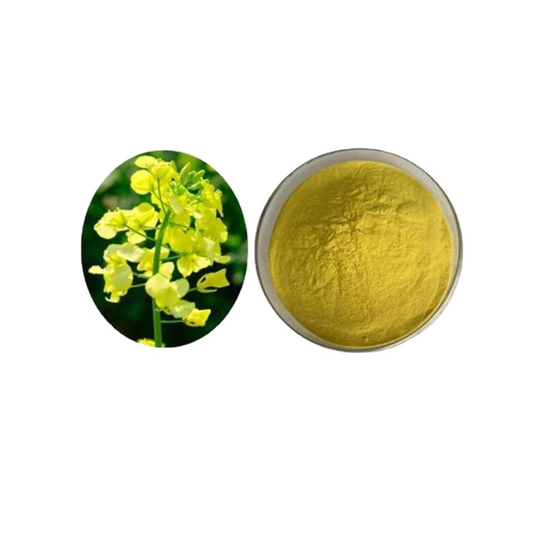 UPM supply Rapeseed flower polysaccharide Canola flower extractive goods in stock