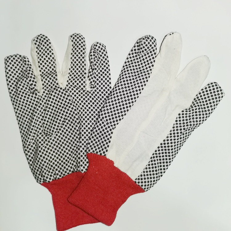 IMG_0425(20230209-120844)