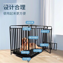 ���\�Ӵ���Ȯ���� �ӹ̽�ë�������๷�\����Ȯ���� ���\�ӼӴ�