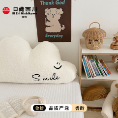 【香龄优品】ins风可爱高克重羊羔绒毛巾绣软绵绵云朵系列靠背