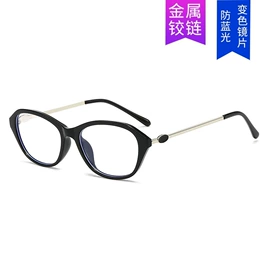 太阳镜;框架眼镜;老花镜