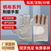 ��������24���׼ײ��S�ײ��Ό��p�ӄڱ����o����늺��������l�S��