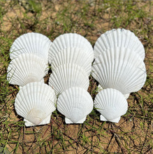 wɫֹ̖ؐdiyL׃@ֹˇƷîؐ