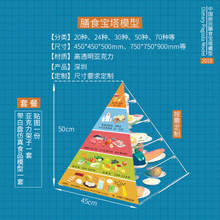 ҹӦӪʳģ;ʳָʳｻݽѧڼ