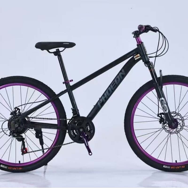 Phoenix Shengxiang Purple Circle Mountain Bike Variable Speed Adult Mountain Bike Phoenix Shengxiang Purple Circle Mountain Bike Variable Speed Adult Mountain Bike