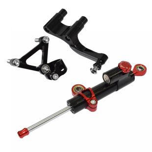 Suitable for Ducati Monster 1100 S monster modified titanium ruler direction damper direction anti-swing head