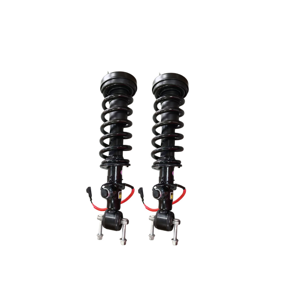 Suitable for Lincoln Navigator Front Electric Assembly Shock Absorber Jl1Z18125C Jl1Z-18125-C