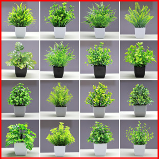 Spot New Bonsai Home Decoration Plants Small Ornaments Fake Flowers Green Plants Potted Plants Artificial Flowers Factory Wholesale