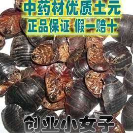 土元虫干的500克包邮 蟅虫 地土鳖虫粉全蝎蜈蚣水蛭真货