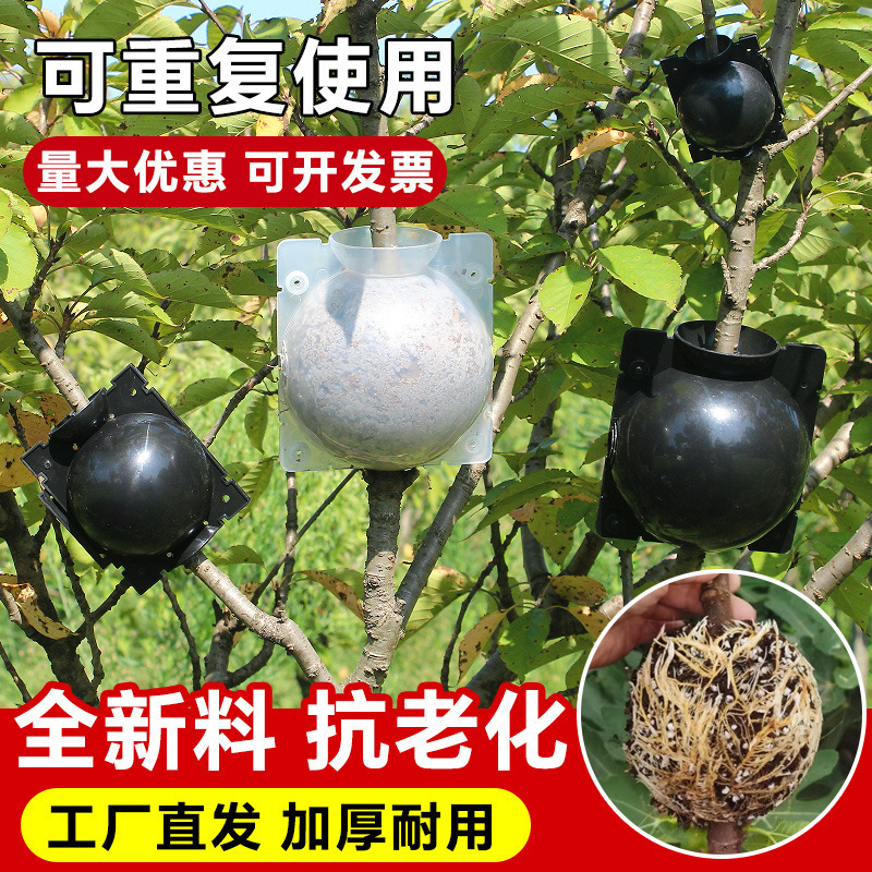 Caja de cultivo de enraizamiento, arboreto, rama, paquete de alta presión, control de rama, injerto de rama, herramientas de jardinería, molde de alta presión