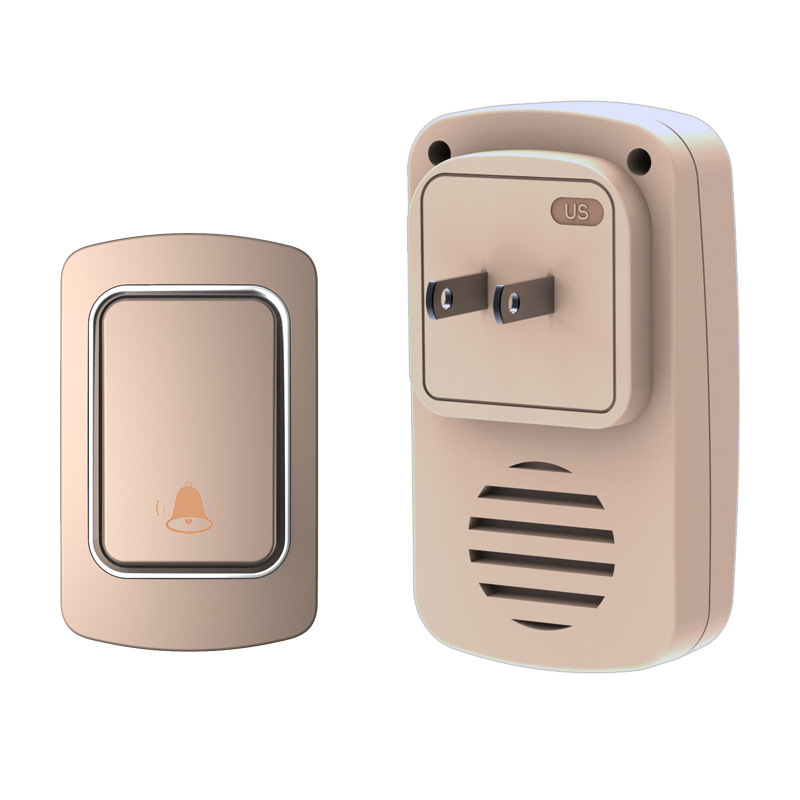 골든 아메리칸 스탠다드 일대일