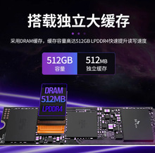 ����_ M.2  KP230 256G KP200PLUS 512G ����1T 2T SATA�̑BӲ�P