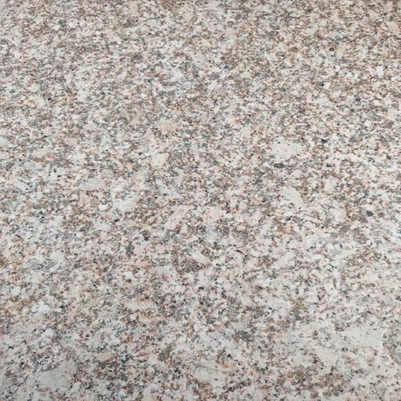 黄金麻-江西抚州 (8).jpg