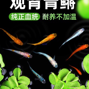 �^�����F�^�p�~��ˮ�~���B�ͻ�С���\�����~��ˮ�~���������w�~��