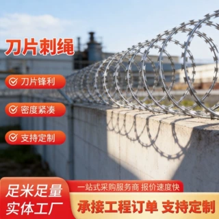 刀片刺绳厂家现货刺丝滚笼监狱围墙防爬防盗刺网螺旋式铁蒺藜防护