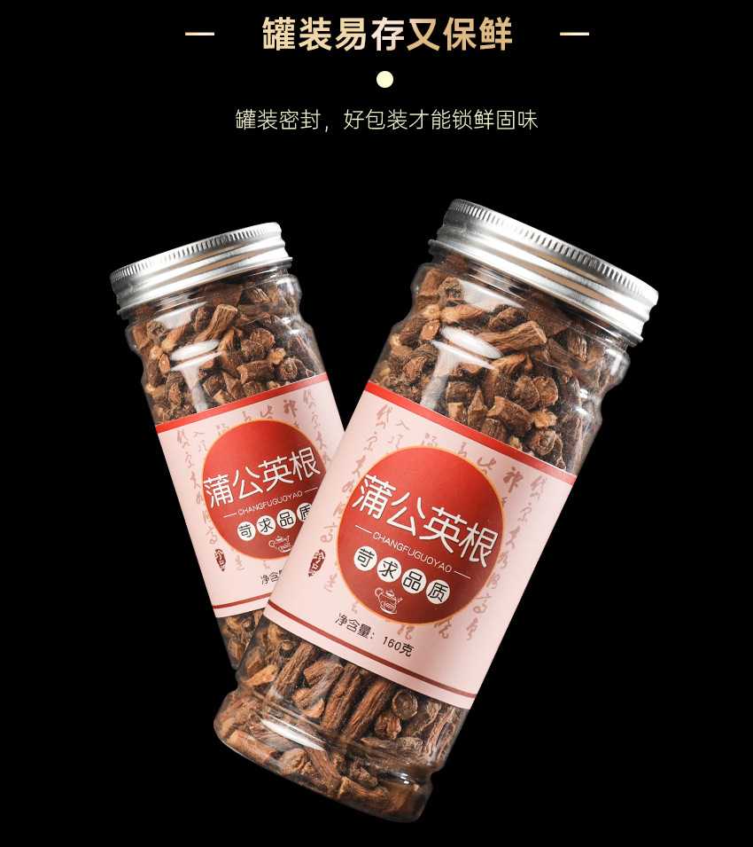 Dandelion Root Tea Pu Gong Ying 160g Canister Roasted Dandelion with Root Daily Herbal Infusion in use