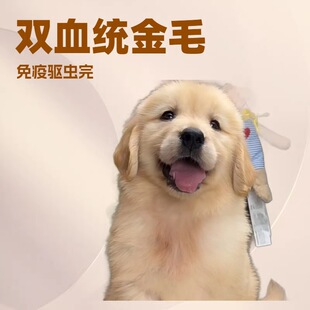 ���N��ë��Ȯ���w�����pѪ�y��ë���̼��B���ﹷِ����äȮ��HȮ