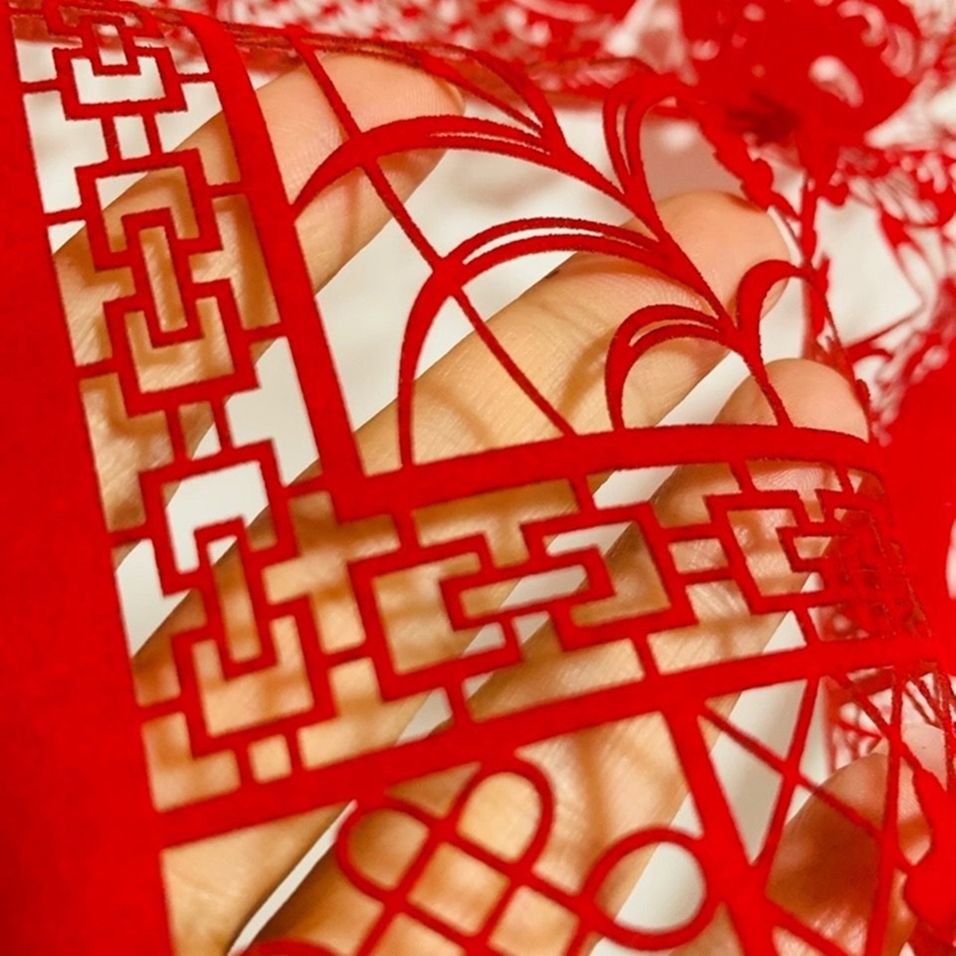 c0460b0a1eedb8b8531a6a69a7050d