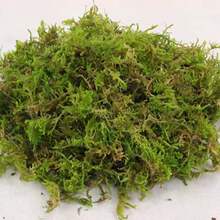 ̦�\���I�B��������m�m���Nֲʯ��ˮ̦����̦�m�������