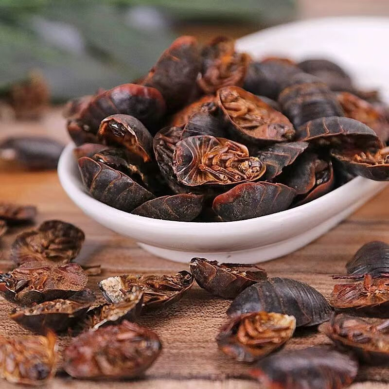 Dried Ground Beetle Tu Bie Chong 土鳖虫 Eupolyphaga Whole Insect TCM Herb 500g quality and texture