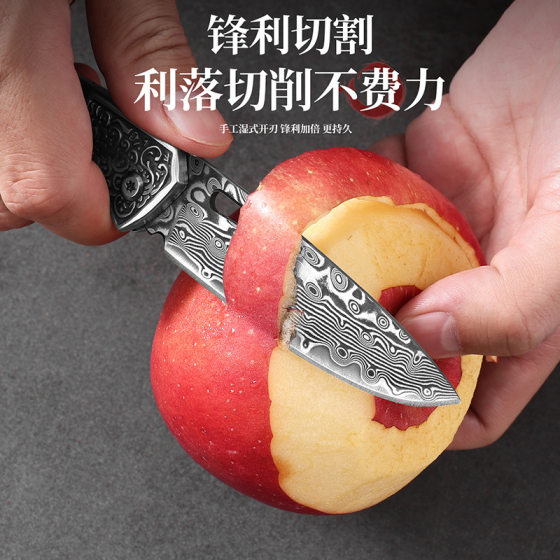 Damascus Knife 67 Layer Fruit Knife Portable Outdoor Camping Survival Knife Folding Peel Eating Knife