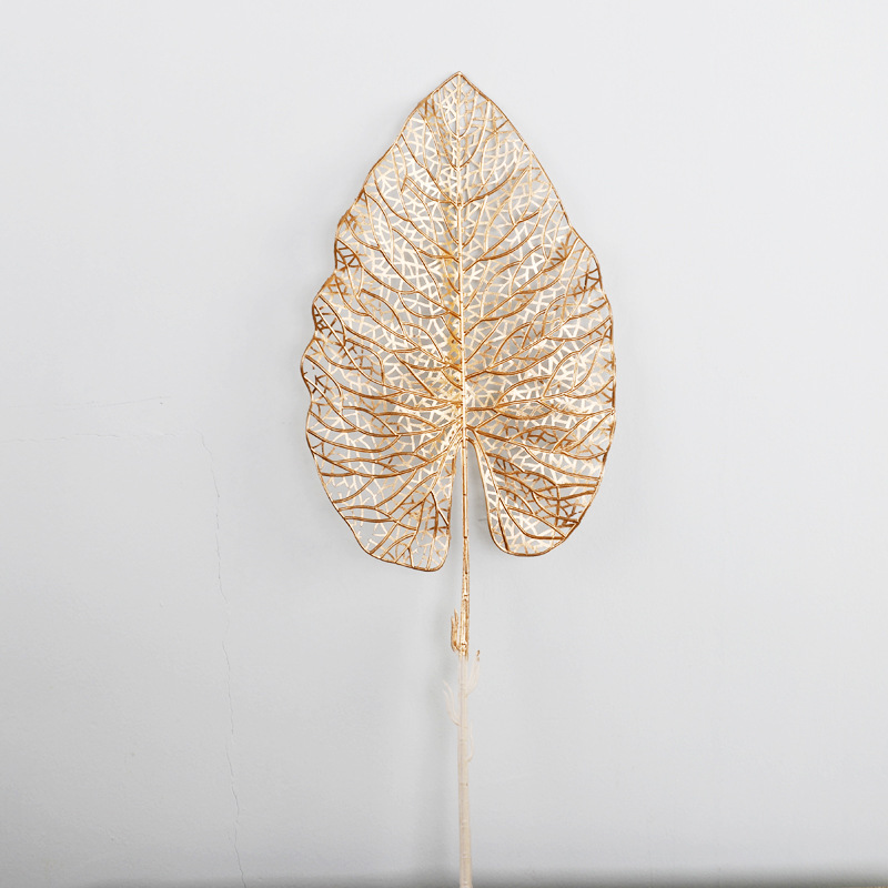 单片马蹄叶,高56.5,叶宽21