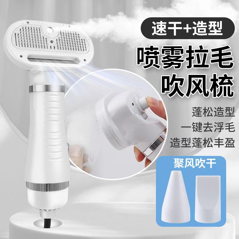 화이트