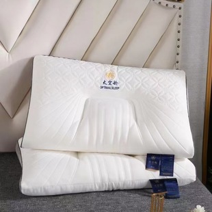 Spa Pillow for Cervical Spine Protection A Pair of Memory Pillow for Single Dormitory Students Cervical Spine Protection Not Collapse Pillow Core Wholesale